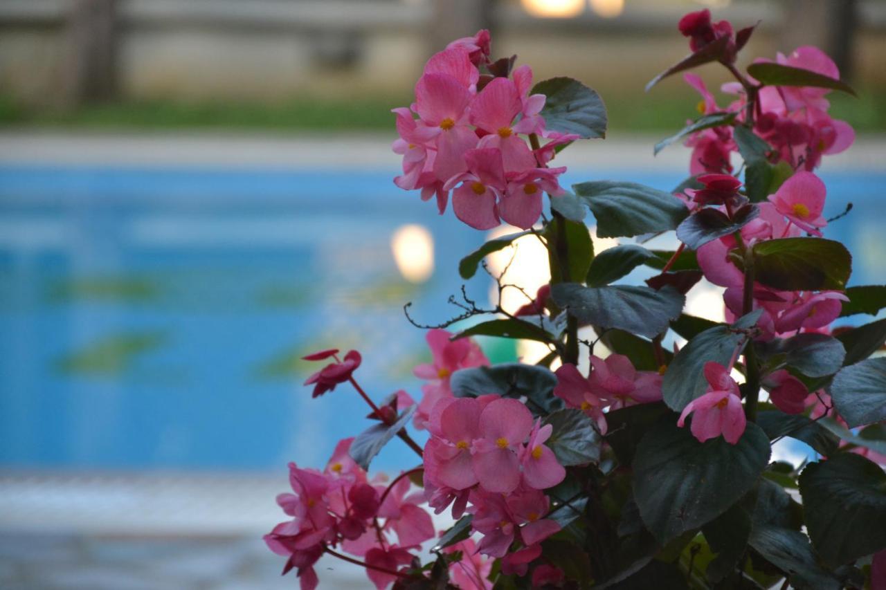 Corfu Hellinis Hotel كانوني المظهر الخارجي الصورة